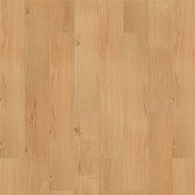 SolidTech R Select - Ansley