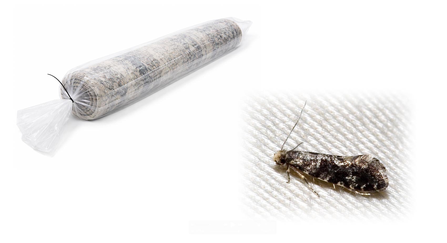 closeup vacuum beater bar