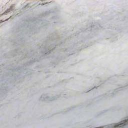 Arabescato Venato Marble Tile