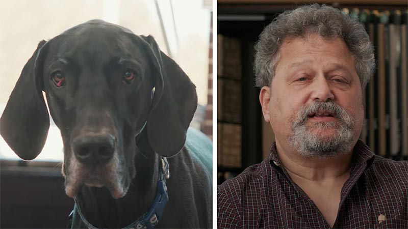 Ken Fain wearing collared shirt and a Great Dane