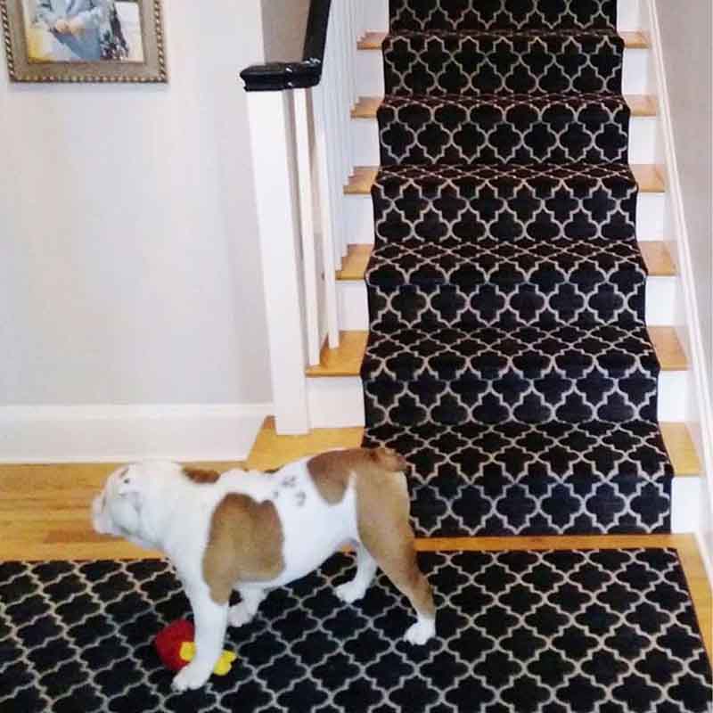 Black and white pattern stair carpet with dog