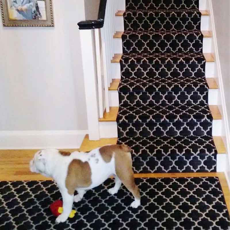 Black and white pattern stair carpet with dog