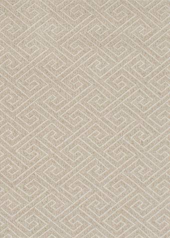 Outdoor Area Rug Swatch