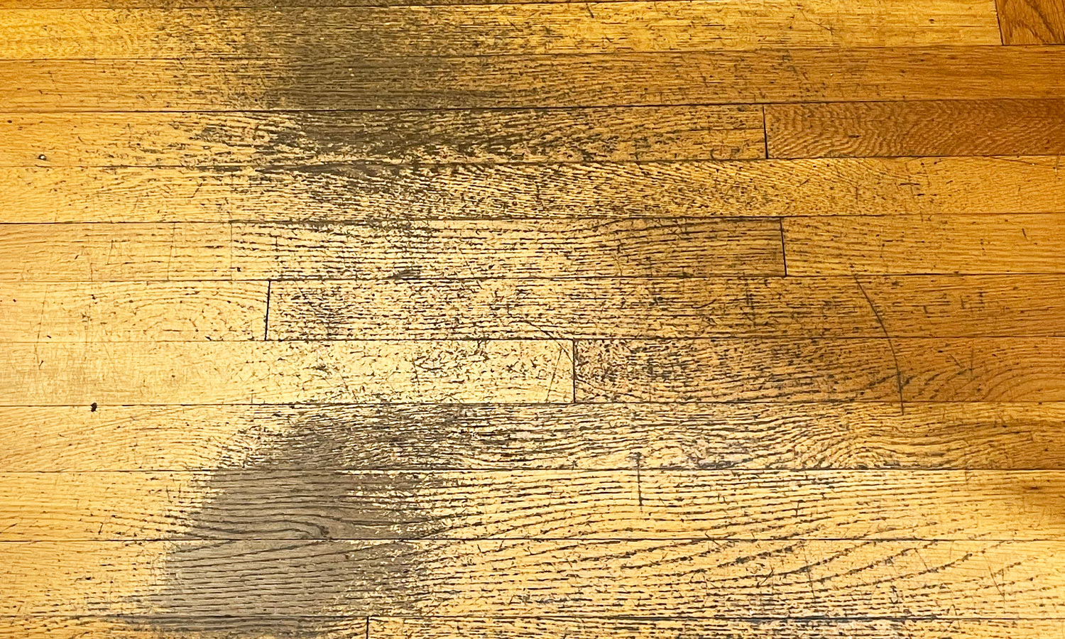 Closeup of hardwood flooring damage in a commercial space